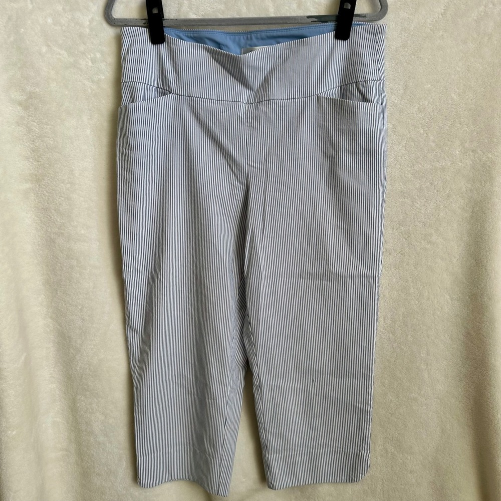 SC & Co Size 14 Pinstripe Pull On Tummy Control Capri Pants Blue White *Flaw*
